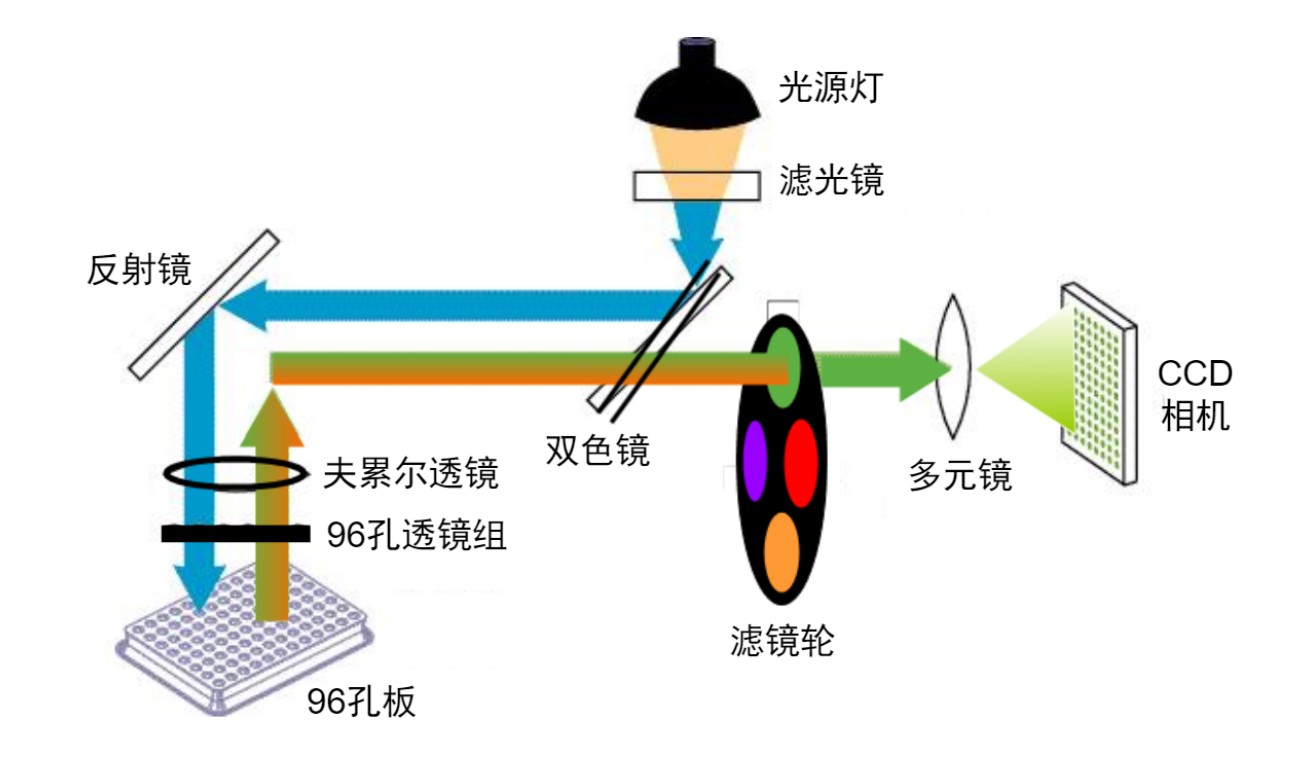 熒光定量PCR光路圖