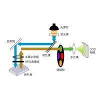 什么是熒光定量PCR、數(shù)字PCR？