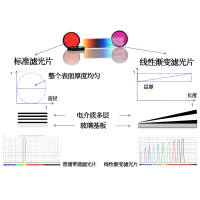 線性漸變?yōu)V光片是什么？有何特點(diǎn)？