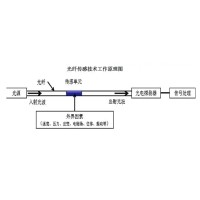 光纖傳感技術(shù)：崔洪亮和他的“中國夢(mèng)”